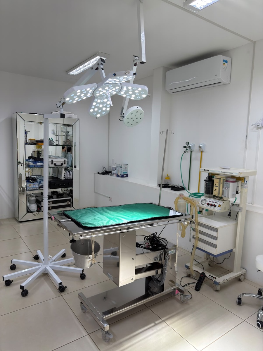 Mesa cirúrgica da COEV sob foco de LED, ao lado do aparelho de anestesia inalatória e do armário de instrumentais