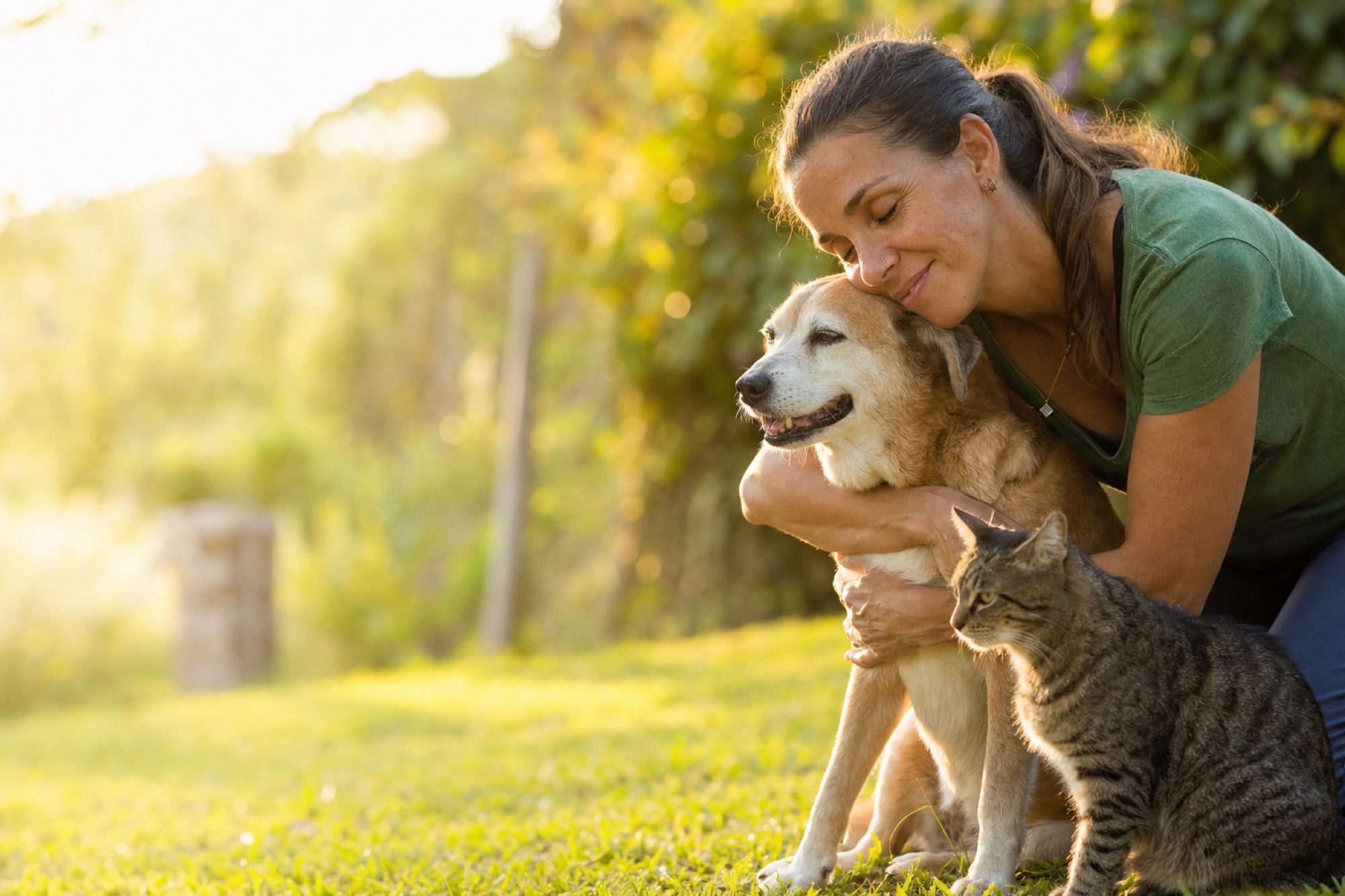 Tutora abraçando seu cão idoso, com um gato ao lado, em um jardim ao entardecer