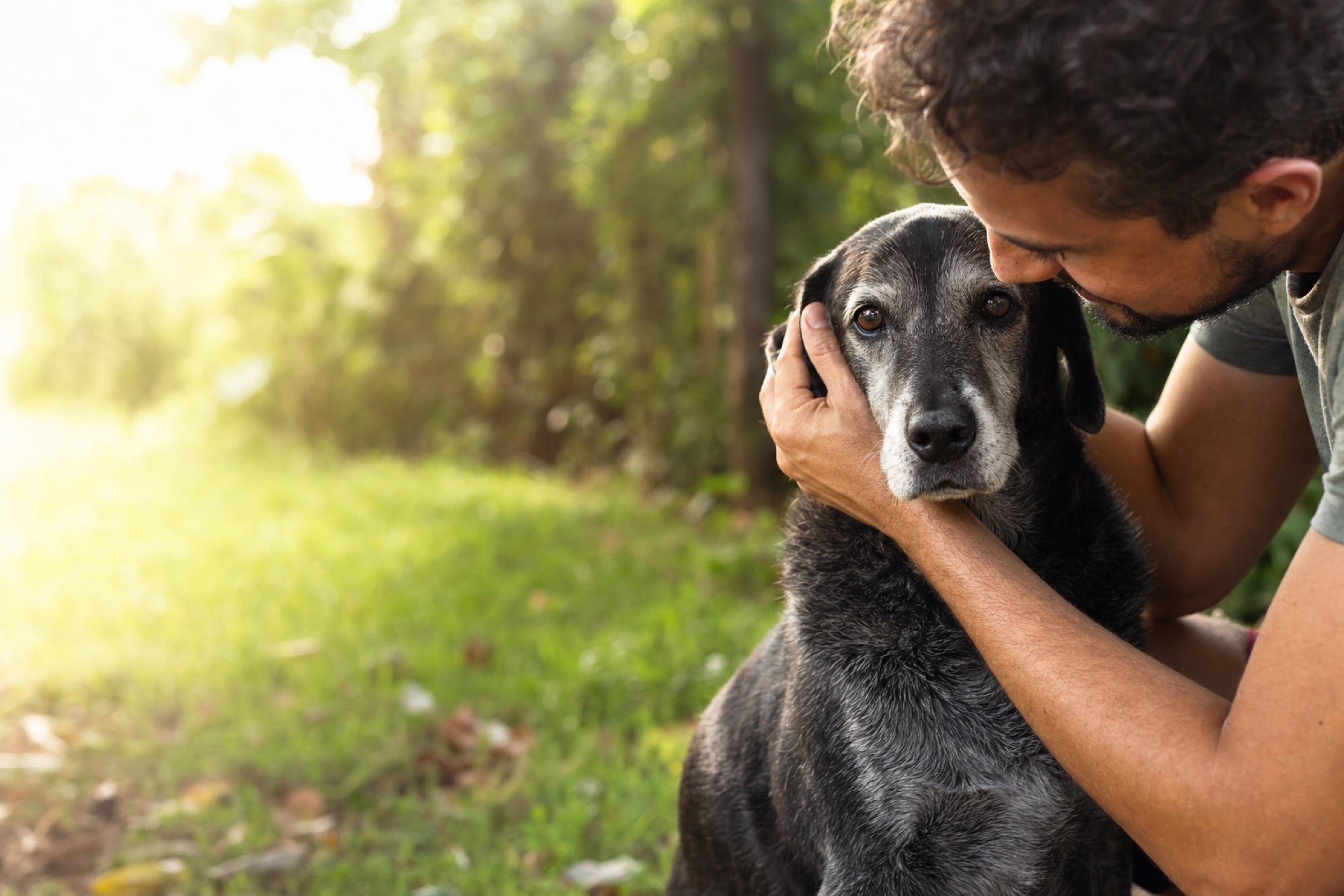 Tutor segurando o rosto de seu cão idoso, que olha diretamente para a câmera
