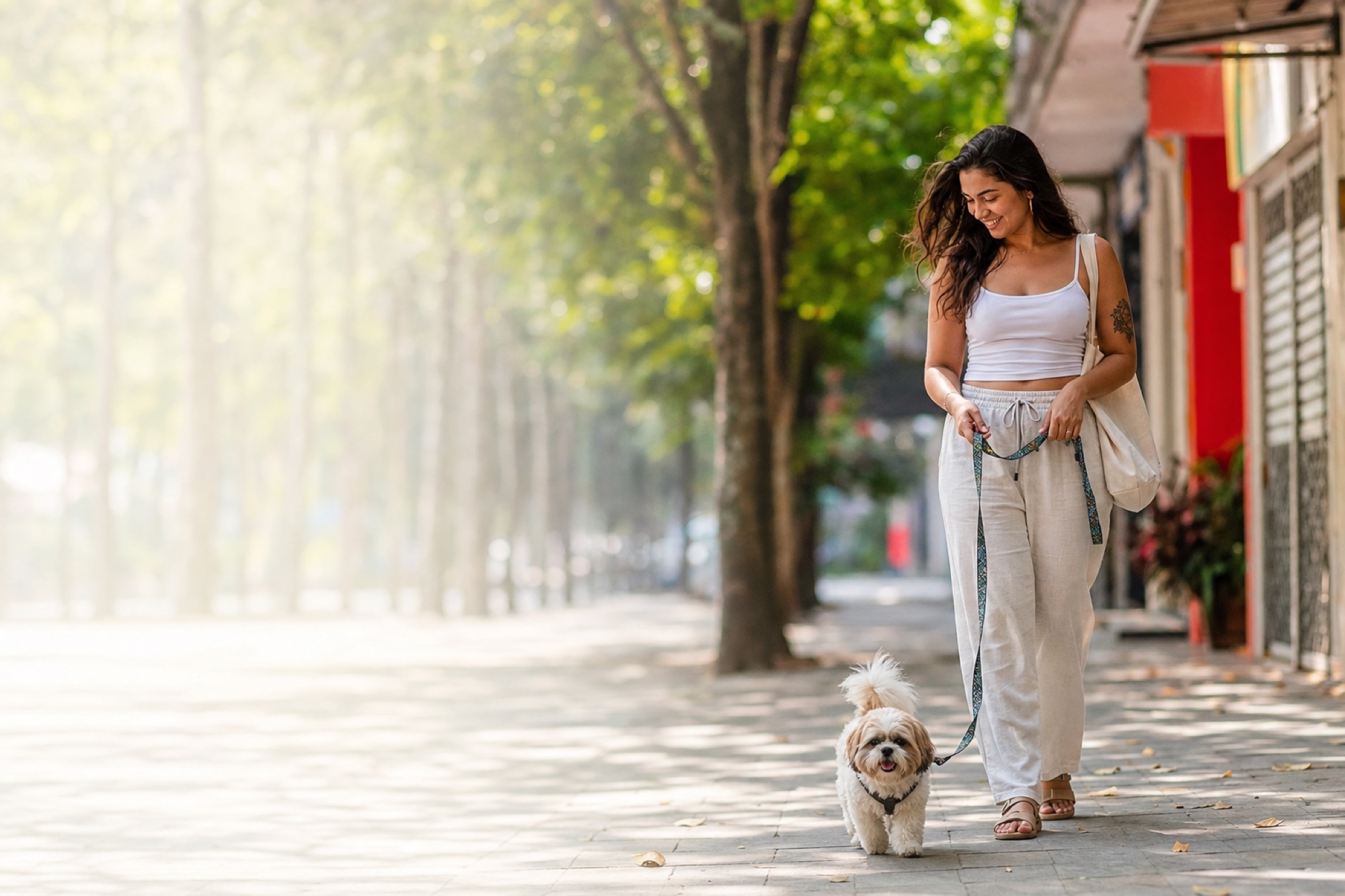 Tutora passeando com seu cão em uma calçada arborizada da cidade